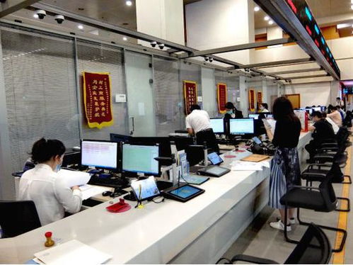 科技賦能，服務百姓——北京順義區創新技術服務模式探秘